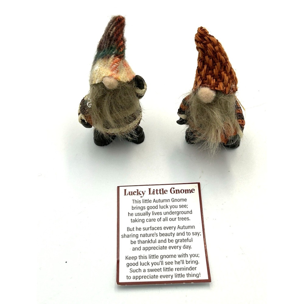 Ganz Lucky Little Gnomes Set of 2 Pocket Charm Shelf Sitter Story Card